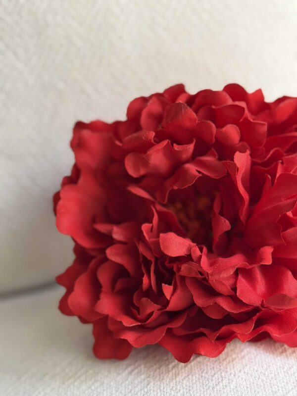 IMG 0147 scaled