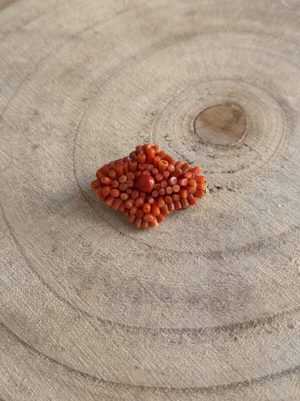 IMG 9998 scaled